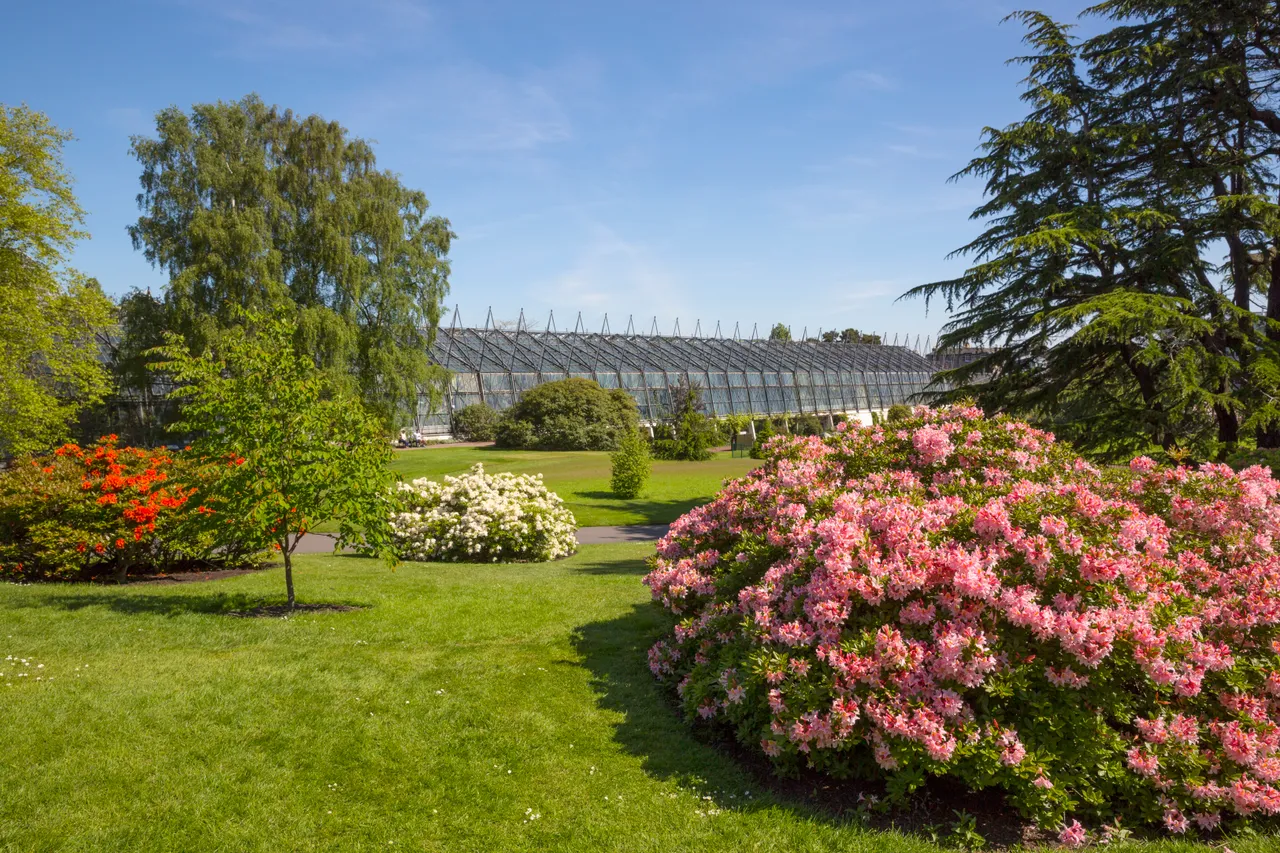 Royal Botanic Garden Edinburgh