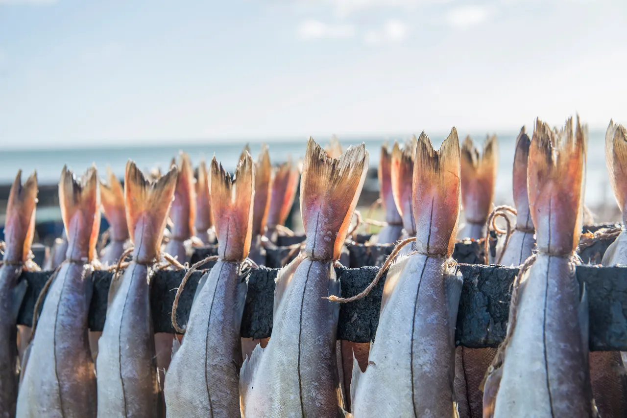 Arbroath smokies