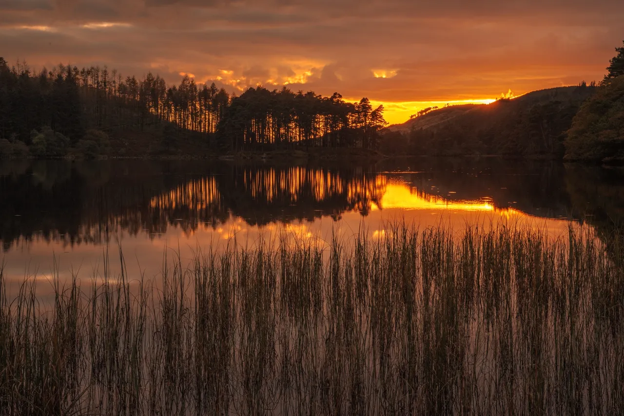 Loch Trool