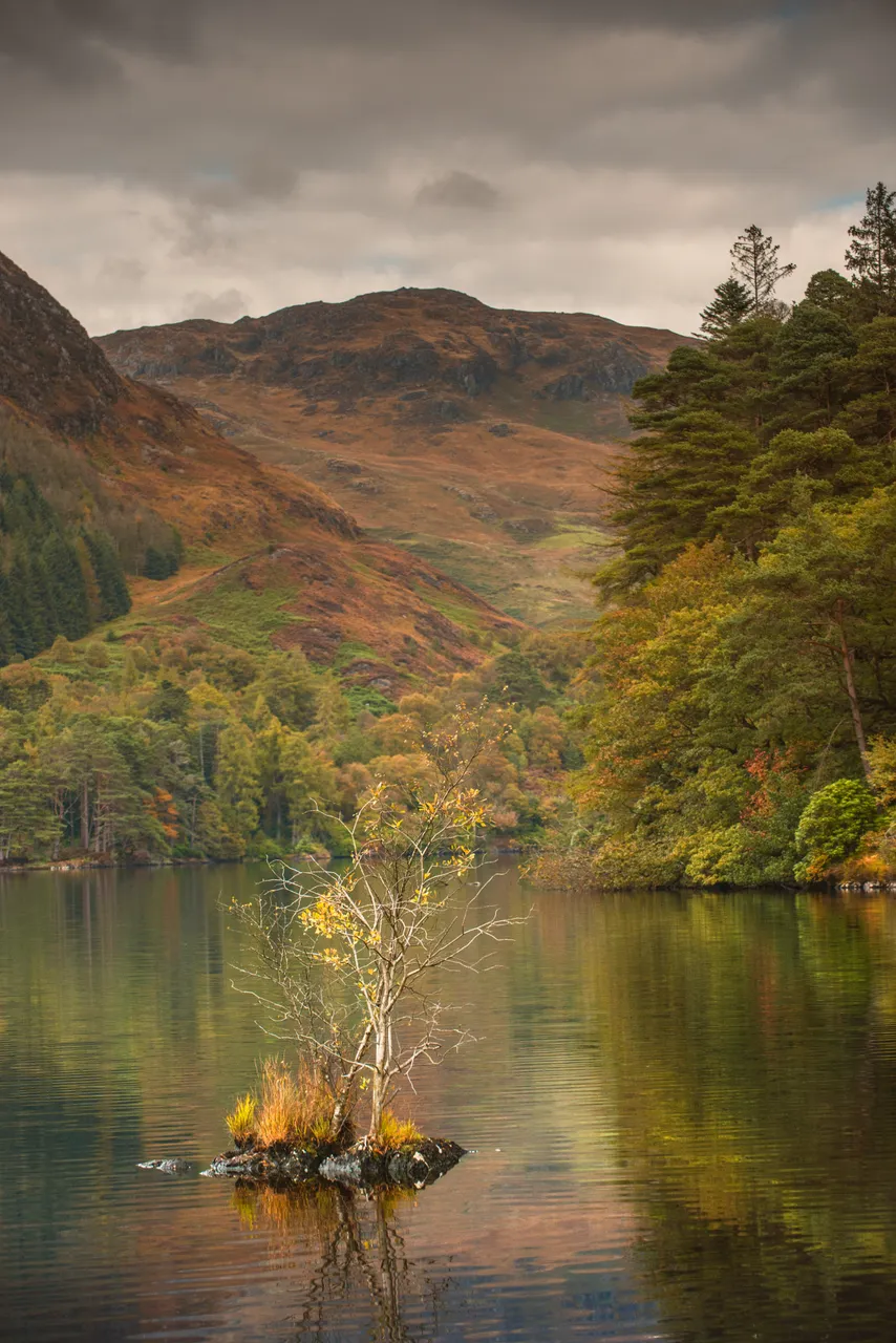 Loch Trool