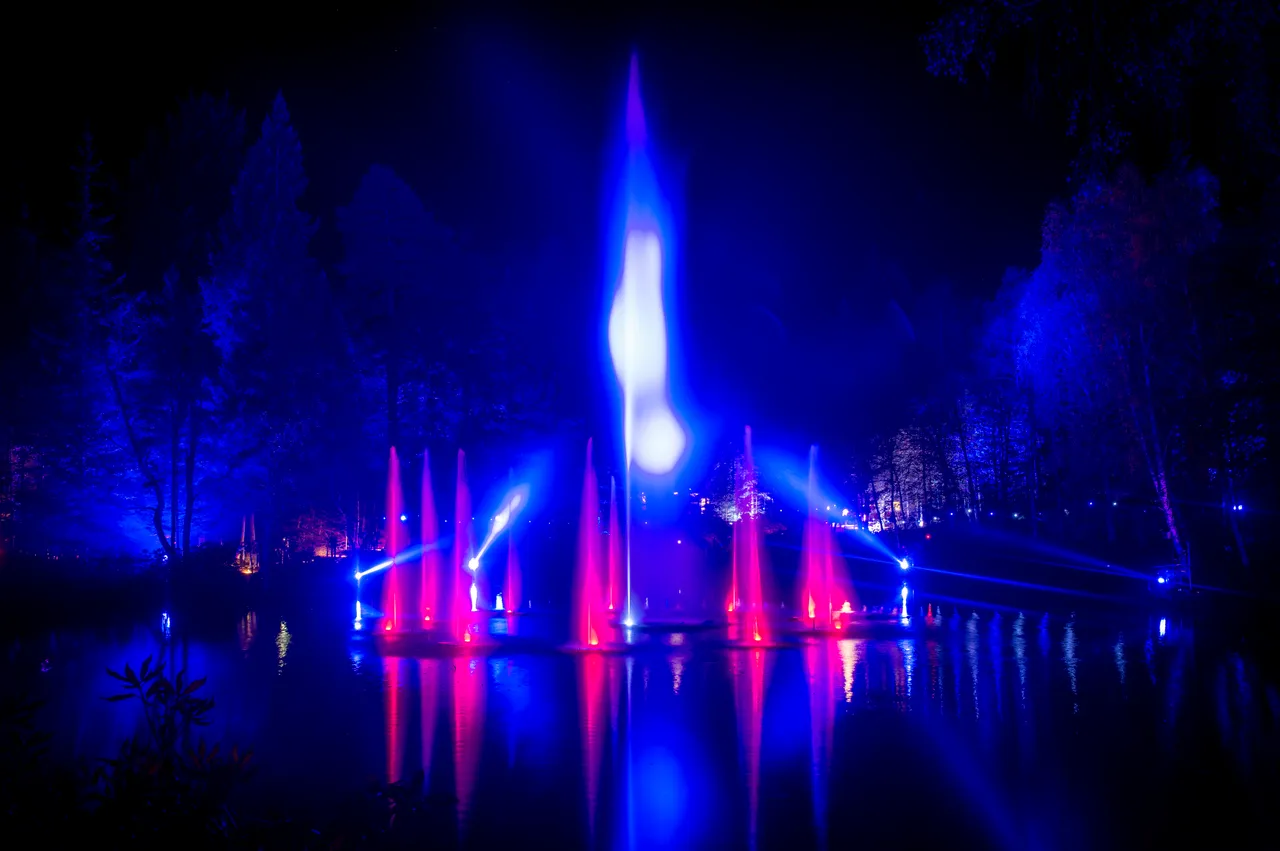 Enchanted Forest