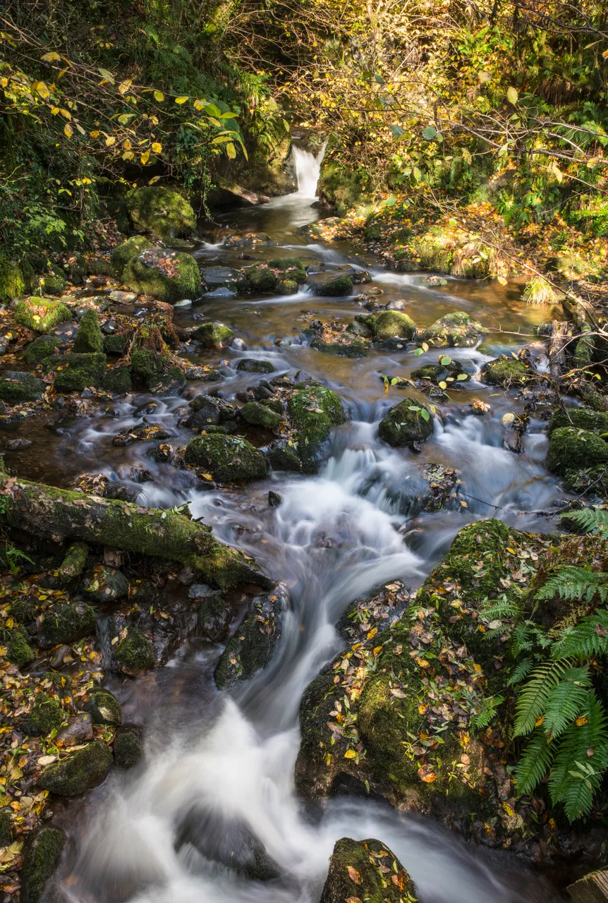 Dollar Glen