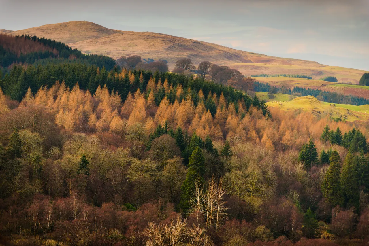 Auchenroy Hill