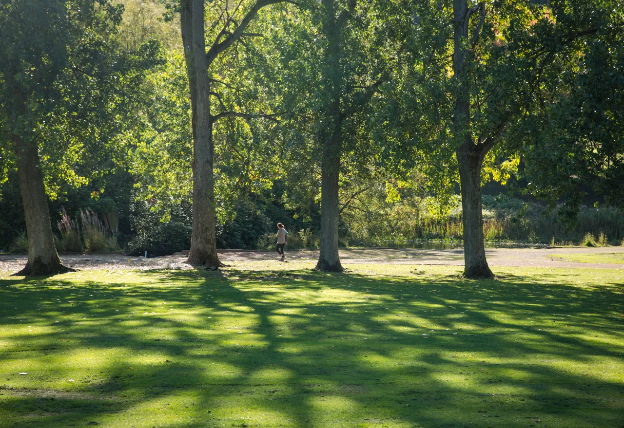 Callendar House and Park