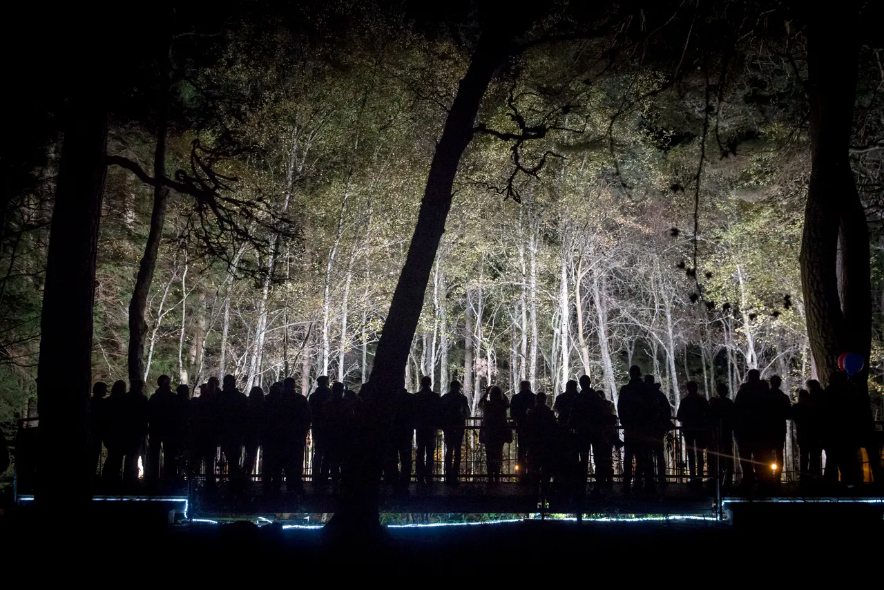 Enchanted Forest