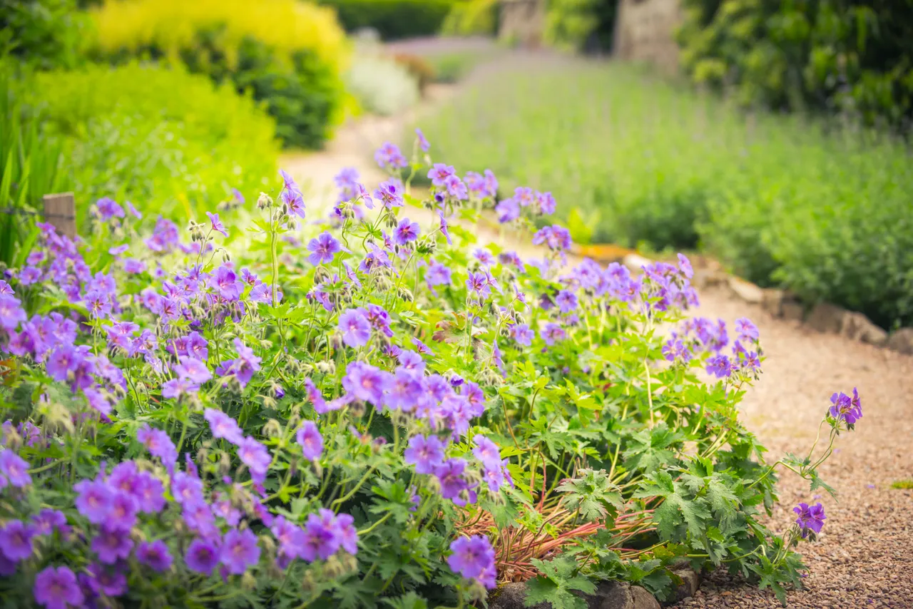 Leith Hall, Garden & Estate