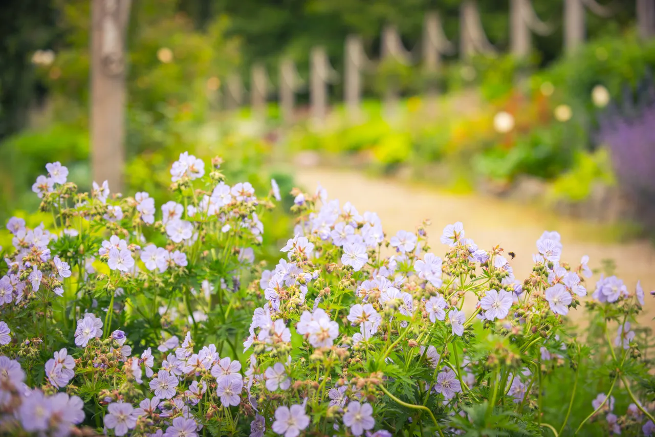 Leith Hall, Garden & Estate