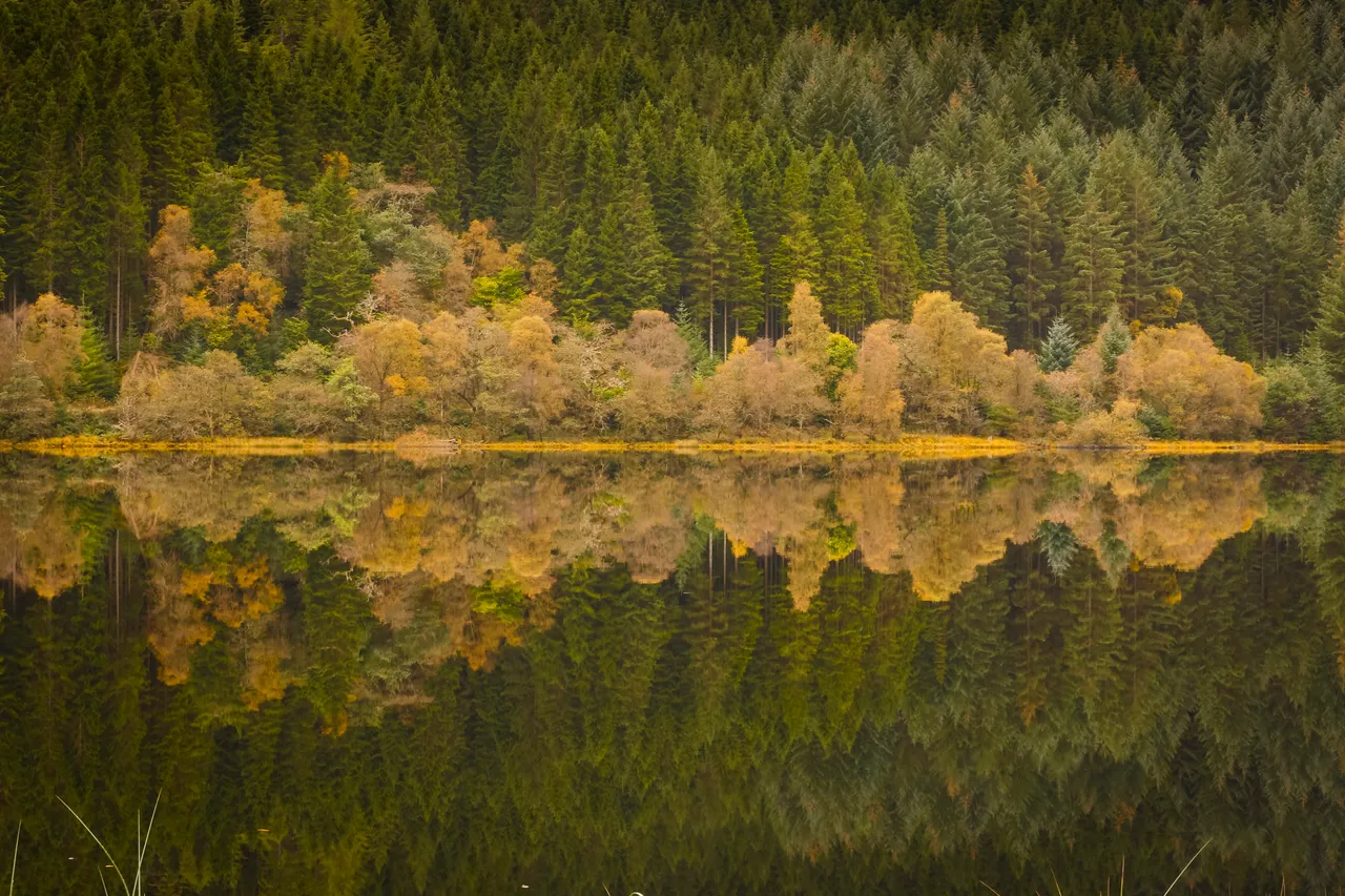 Loch Chon