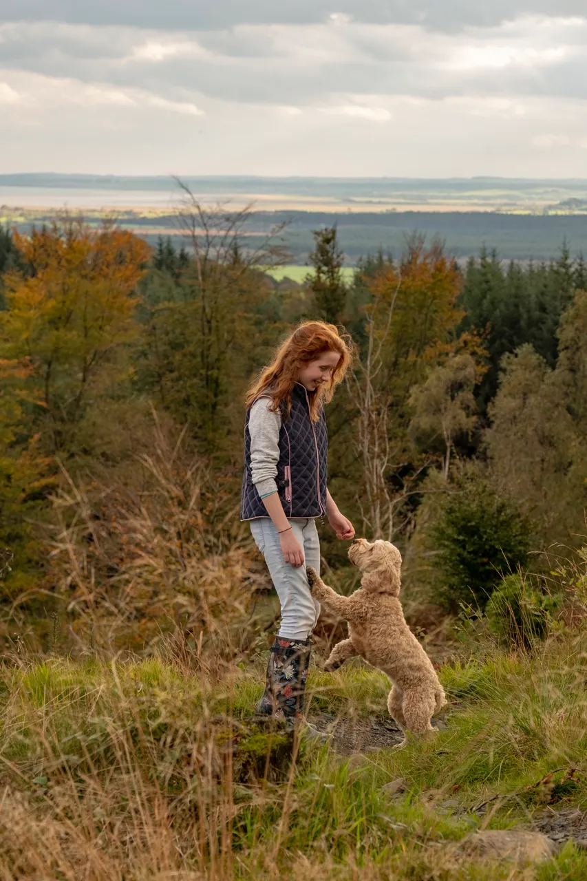 Kirroughtree Forest