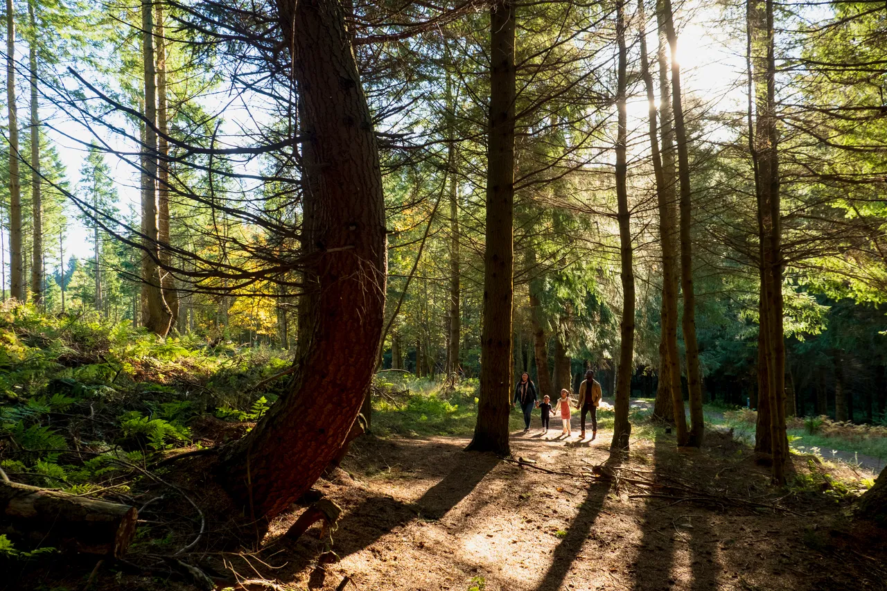 Glentress Forest