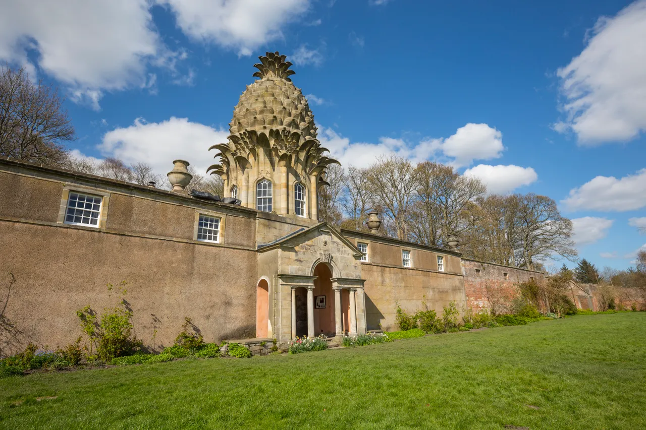 The Dunmore Pineapple