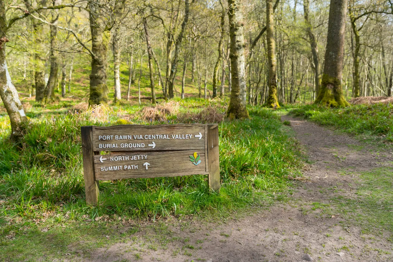 Inchcailloch