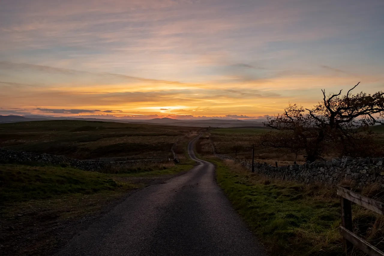 View Towards Cheviot Hills