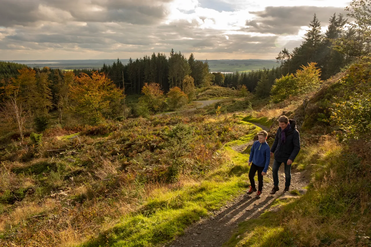 Kirroughtree Forest