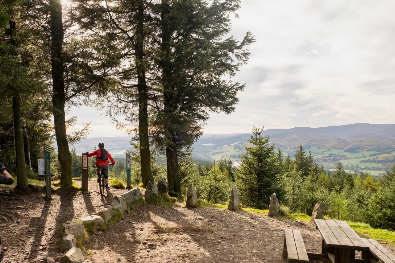 Glentress Forest