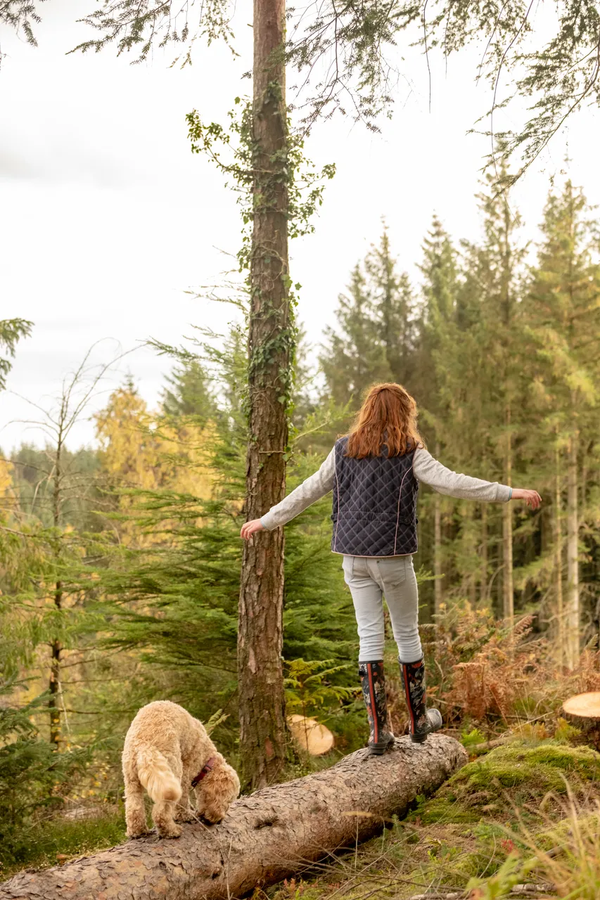 Kirroughtree Forest