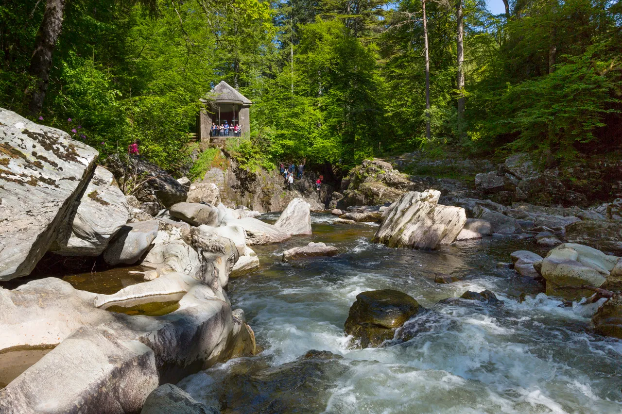 The Hermitage