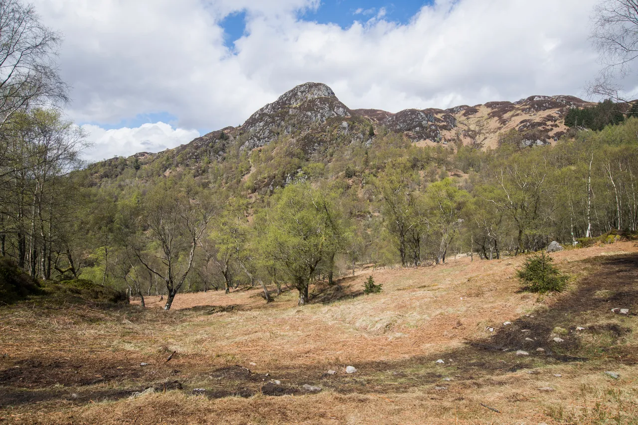 Ben A'an