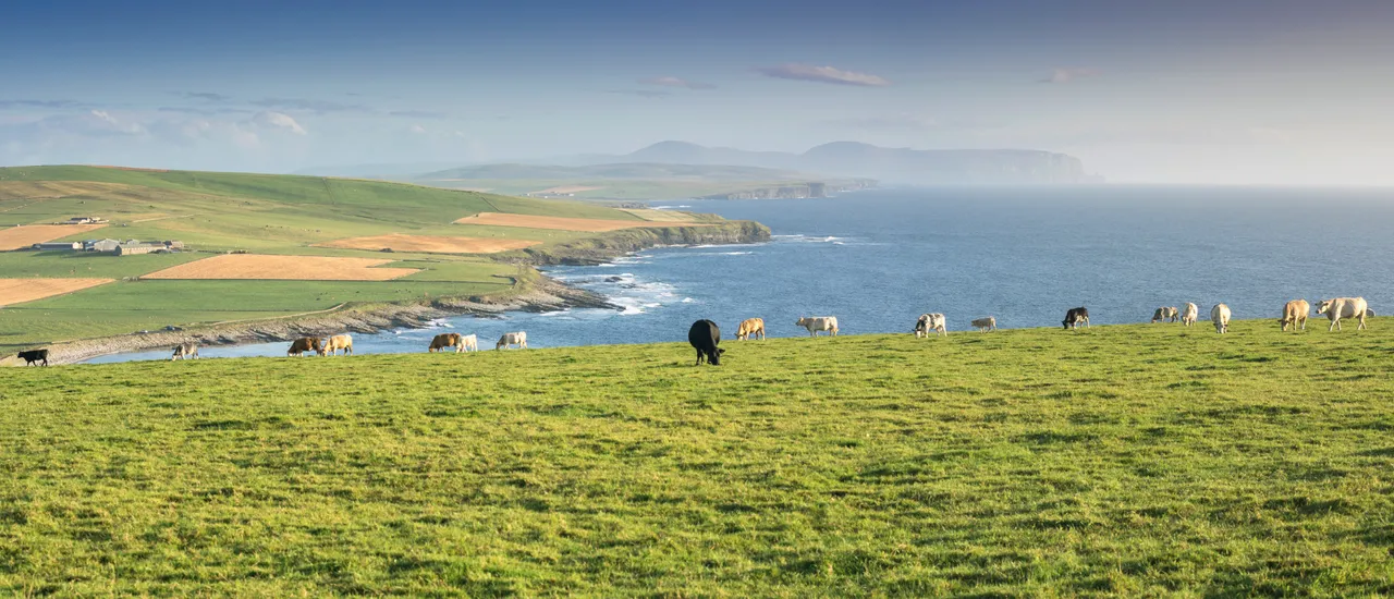 Marwick Head