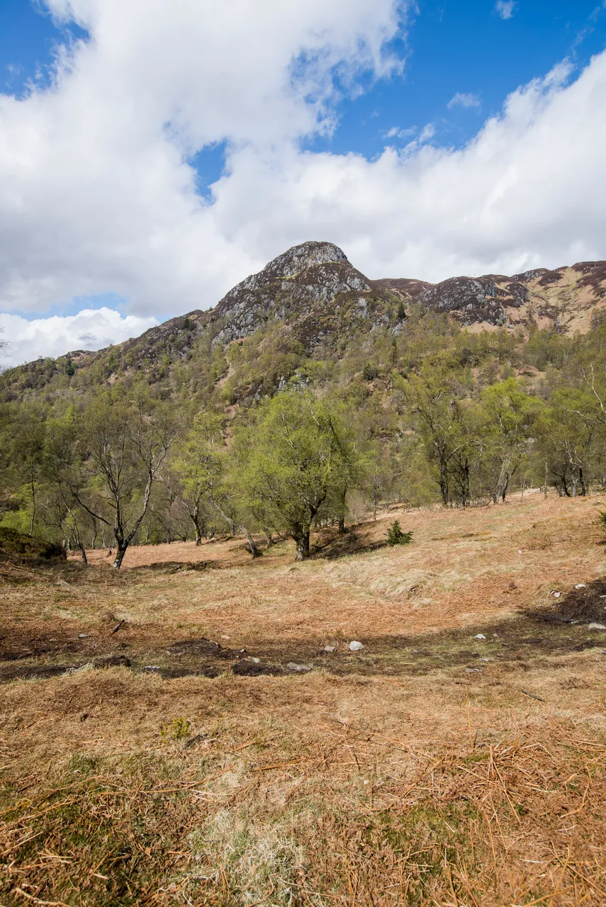 Ben A'an