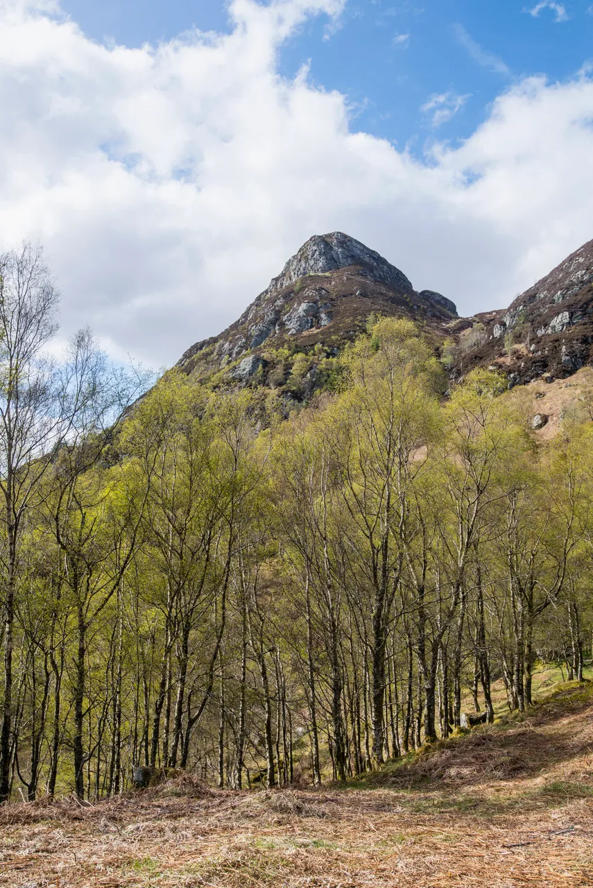 Ben A'an