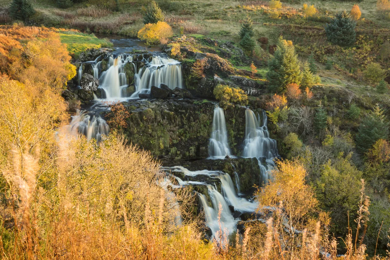 Loup of Fintry