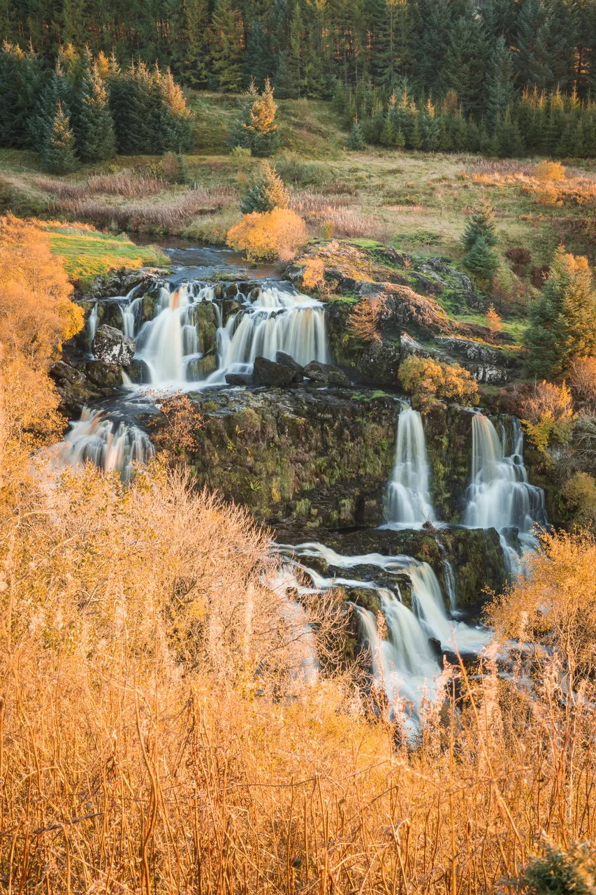 Loup of Fintry