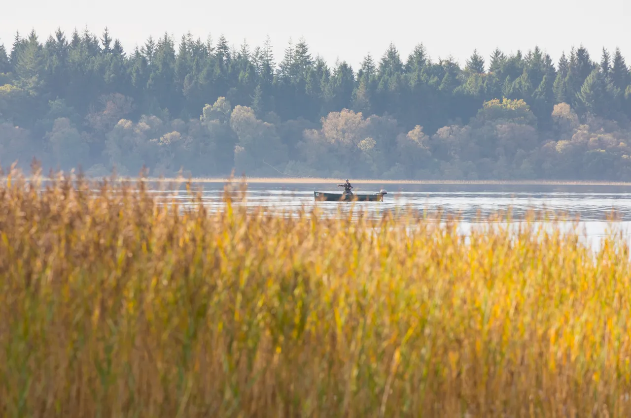 Lake of Menteith