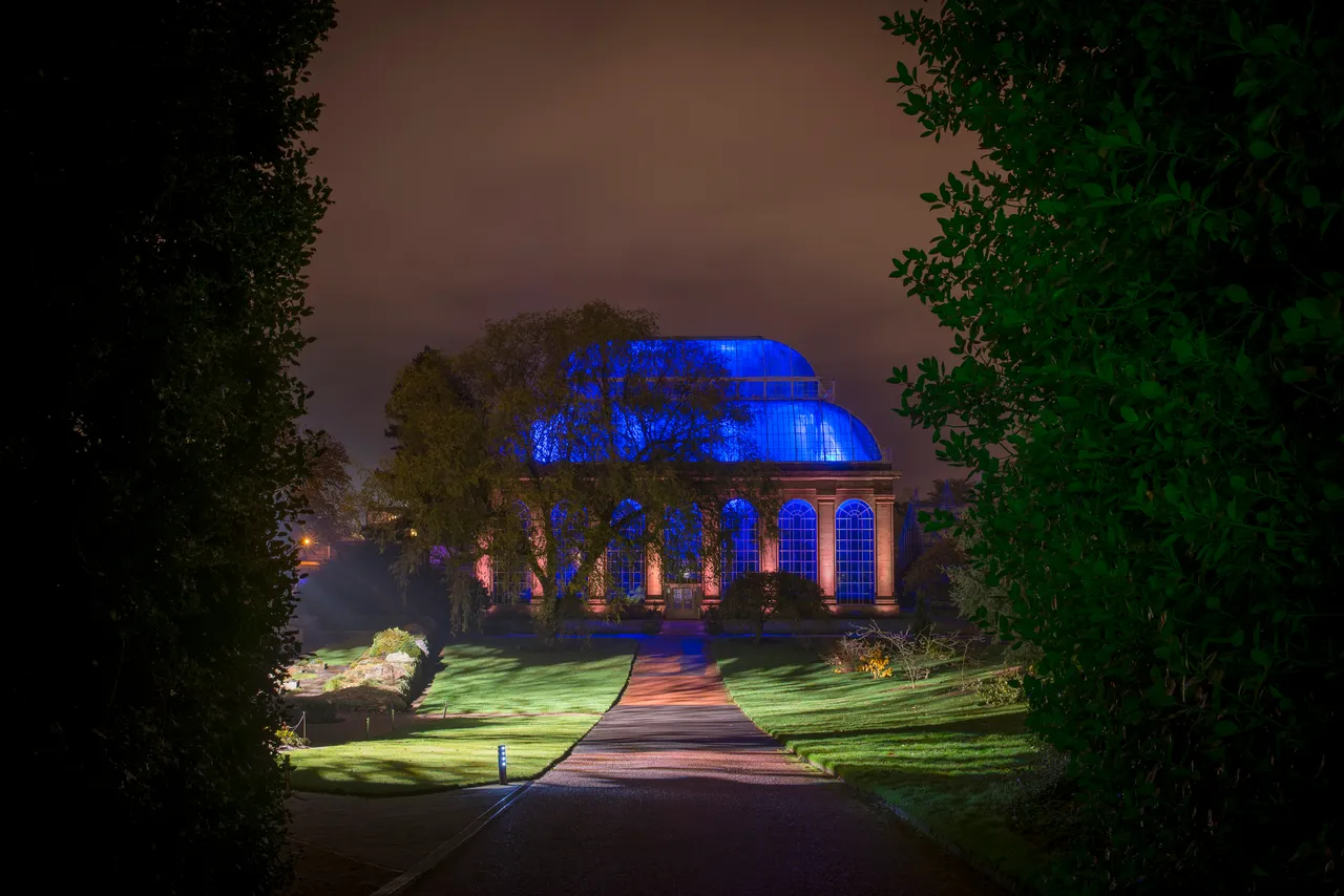 Botanic Lights: Night in the Garden