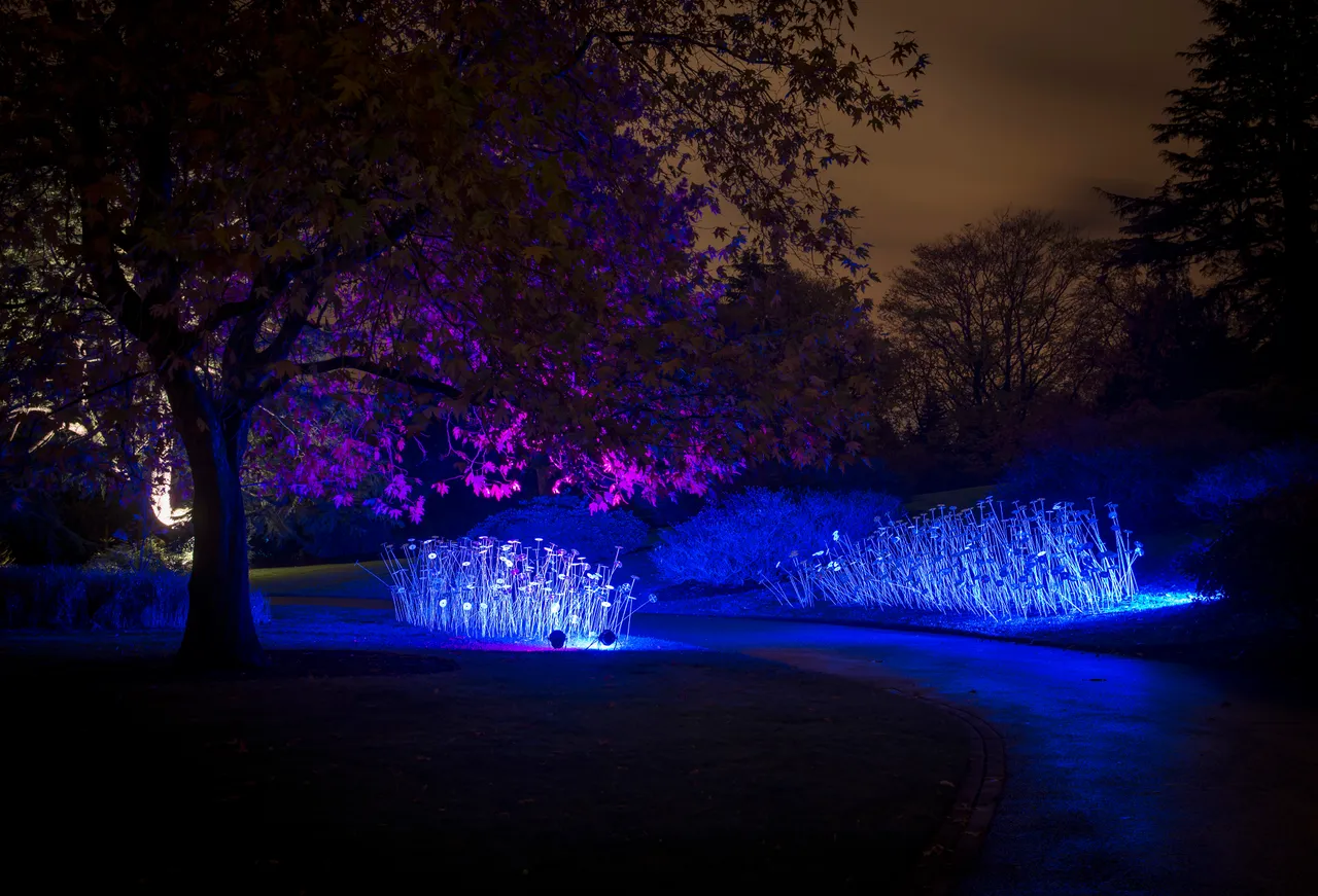 Botanic Lights: Night in the Garden