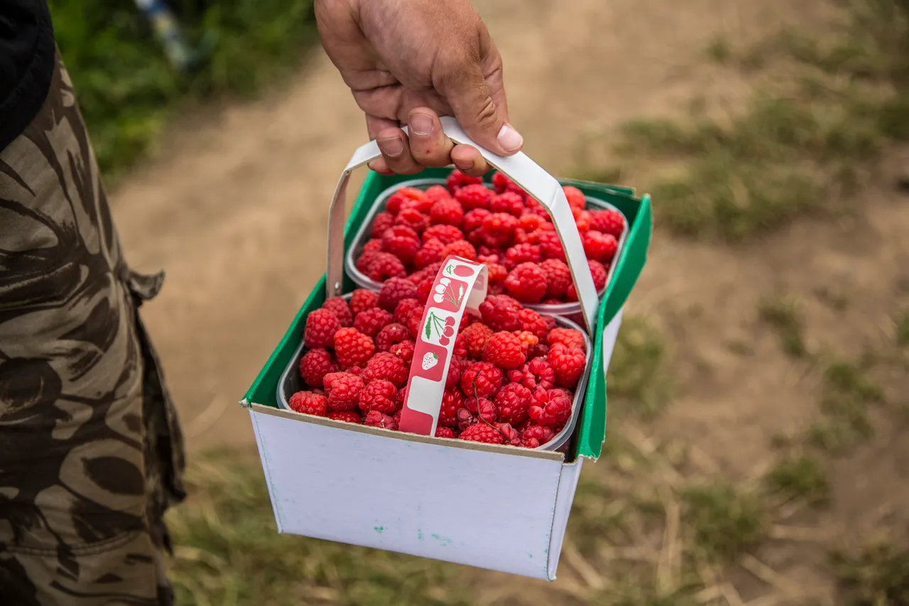 Craigies Fruit Farm