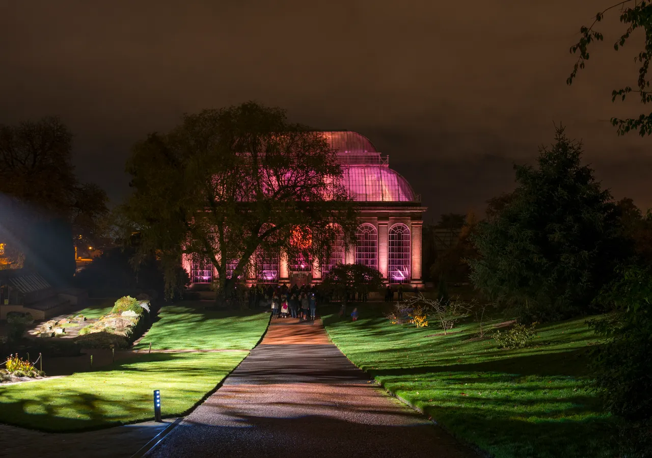 Botanic Lights: Night in the Garden