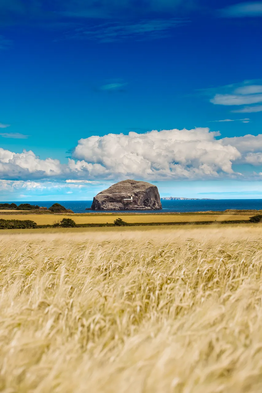 Bass Rock