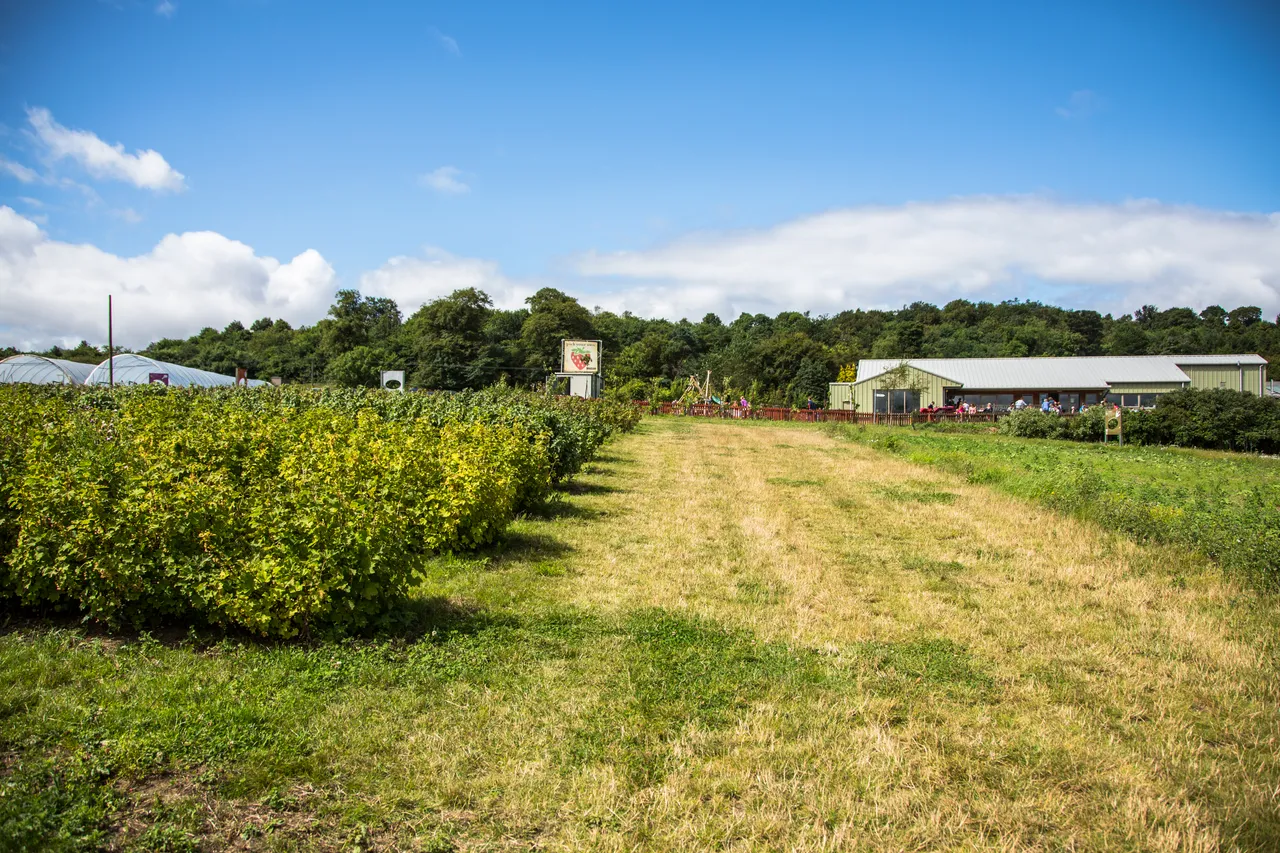 Craigies Fruit Farm