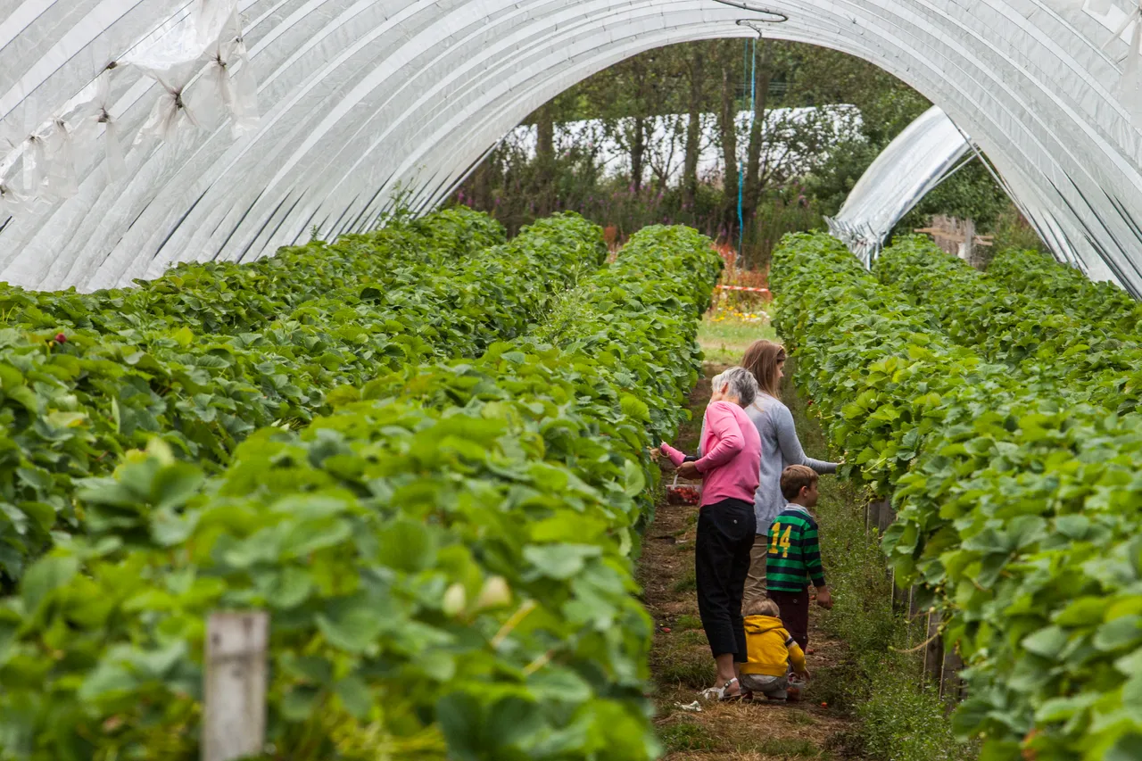 Craigies Fruit Farm