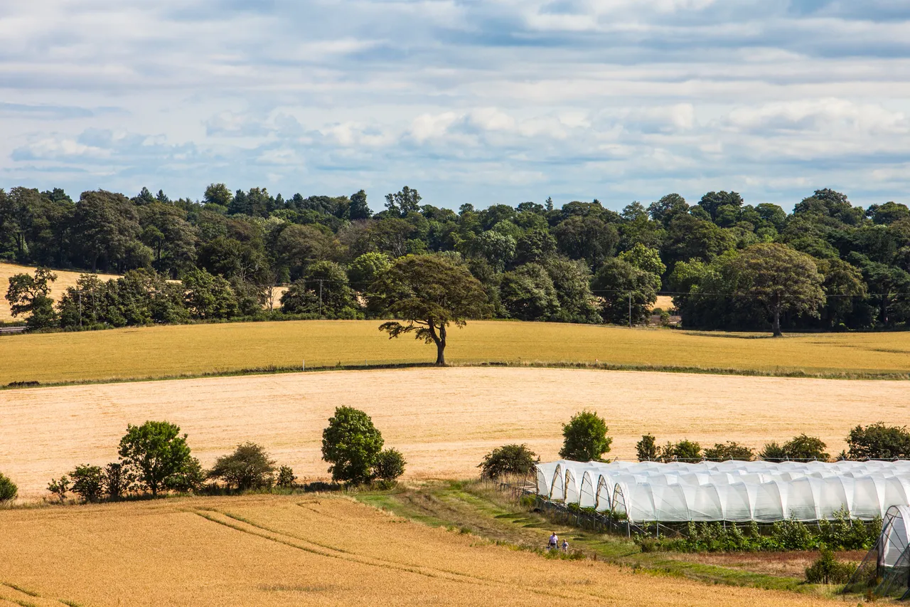 Craigies Fruit Farm