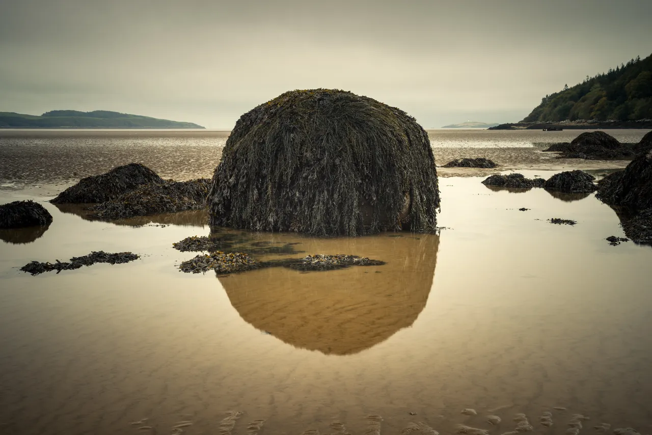 Ross Bay
