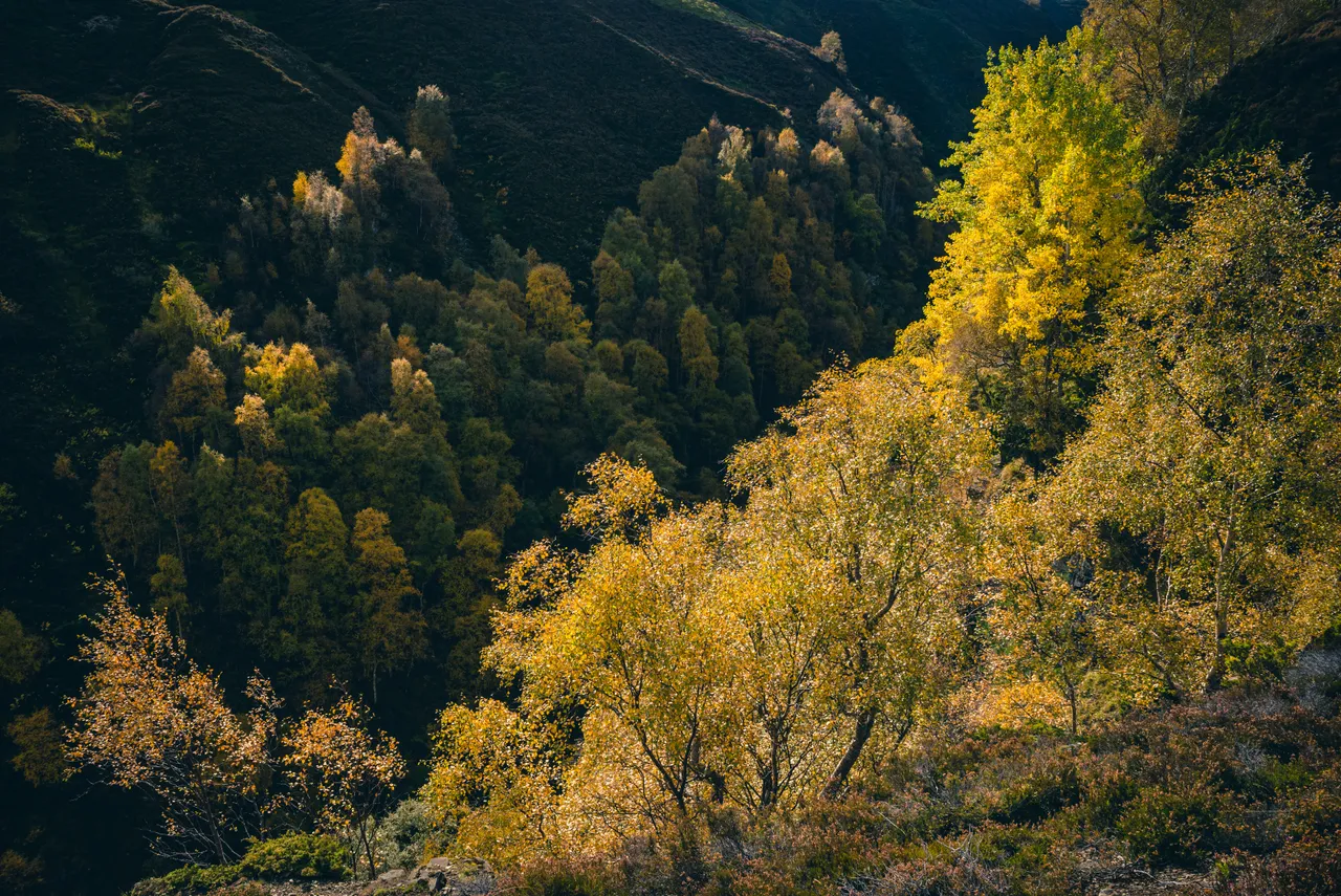 Ailnack Gorge