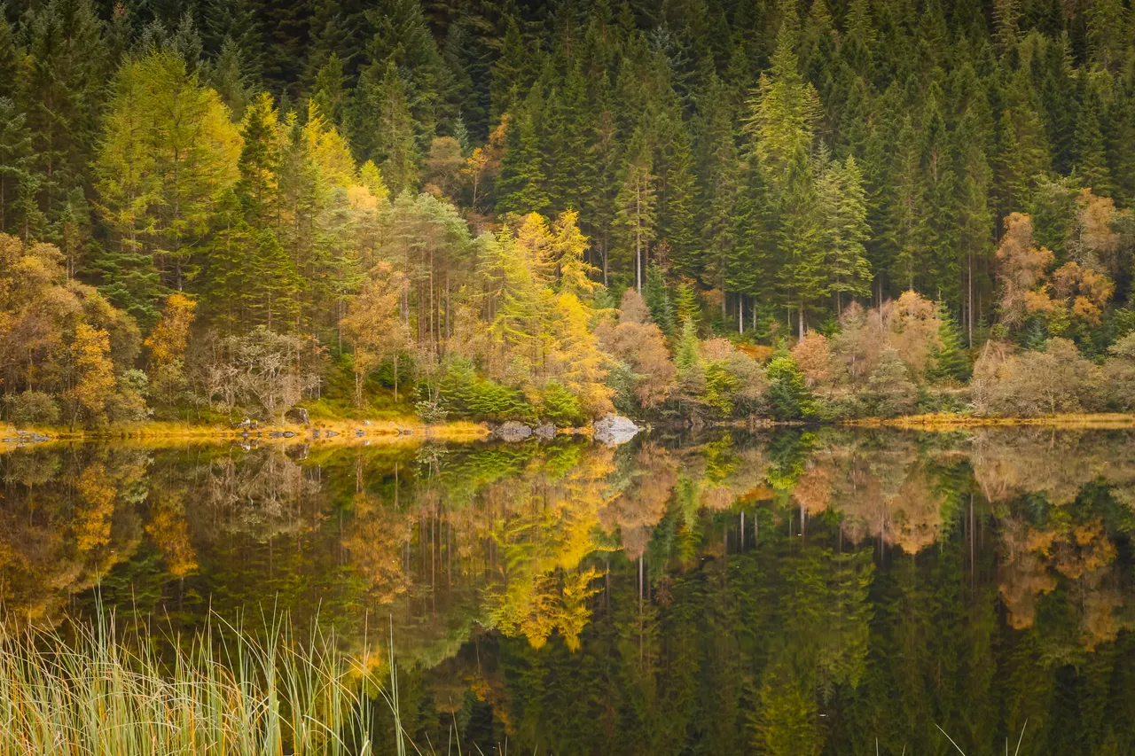 Loch Chon