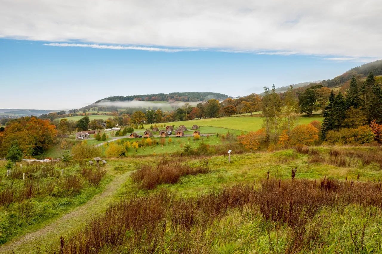 Glentress Forest