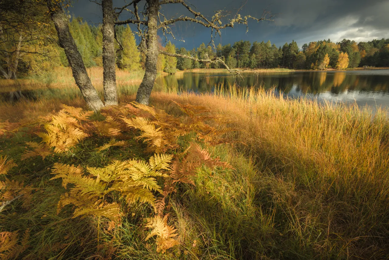 Lochan Mor
