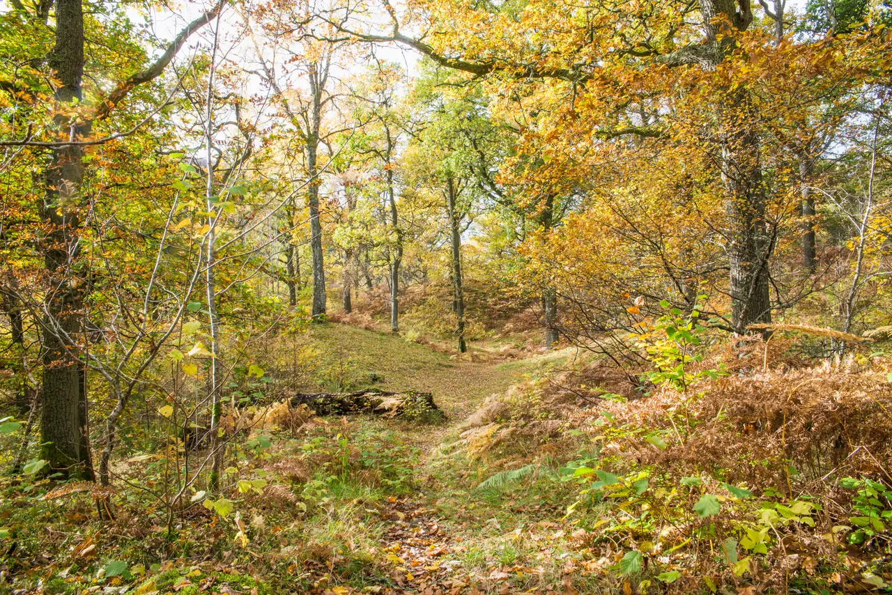 Pass of Killiecrankie