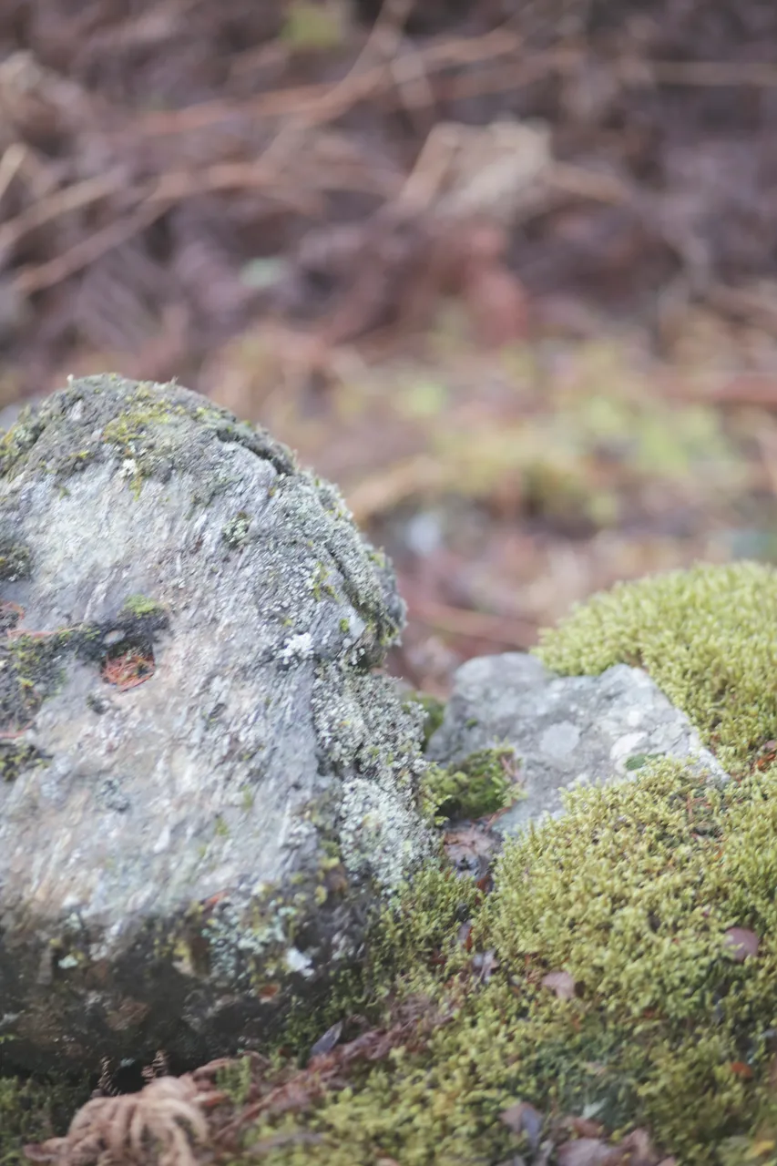 Rocks