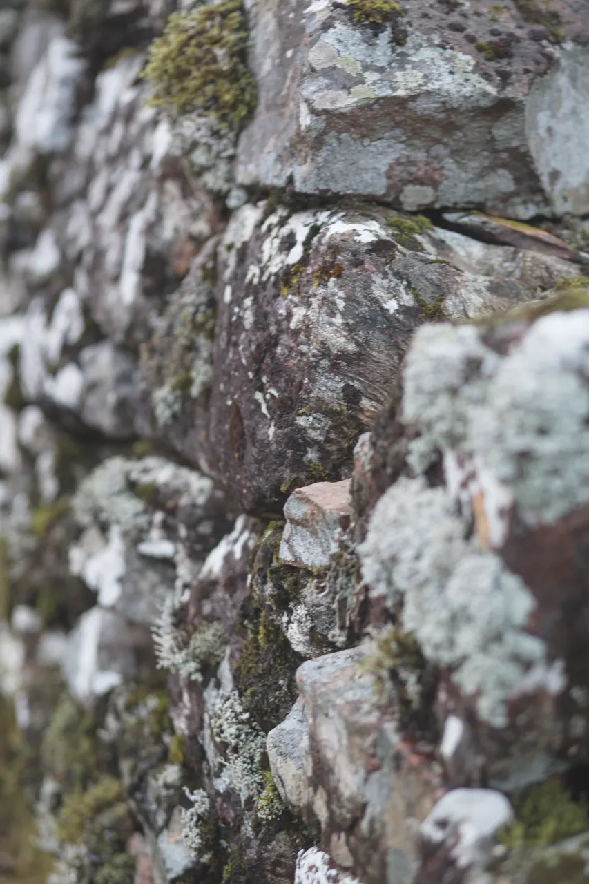 Moss-covered rocks