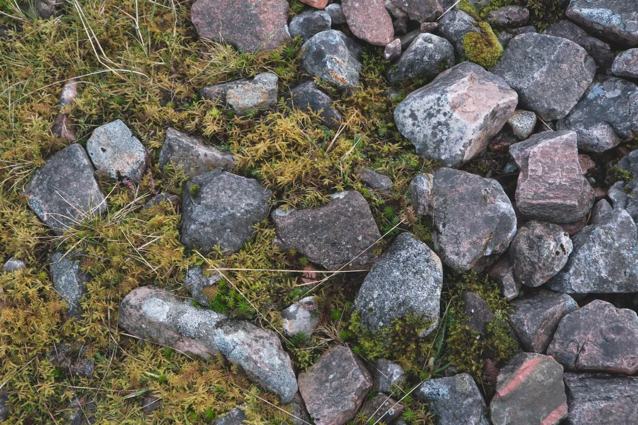 Moss-covered rocks