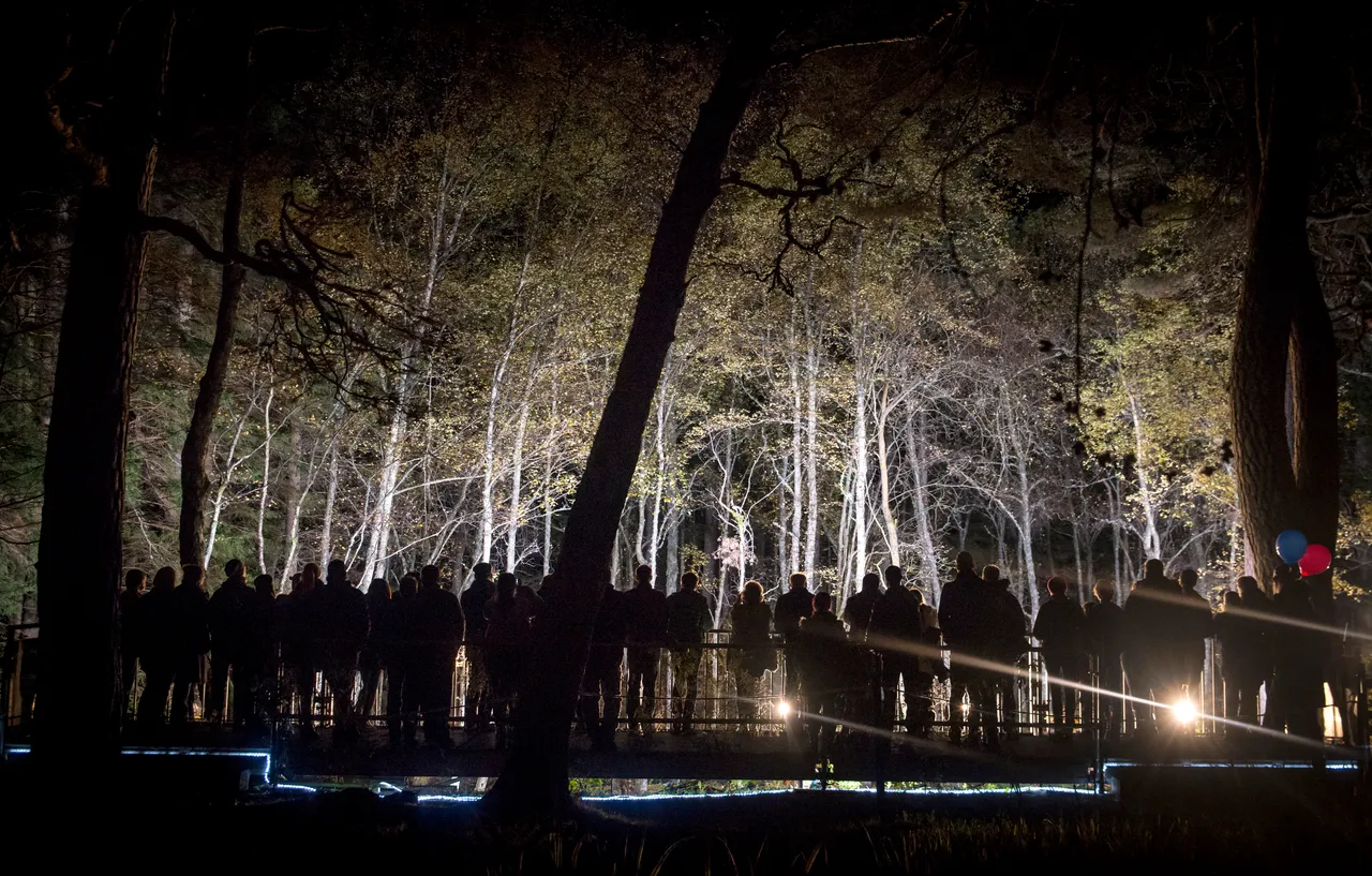 Enchanted Forest