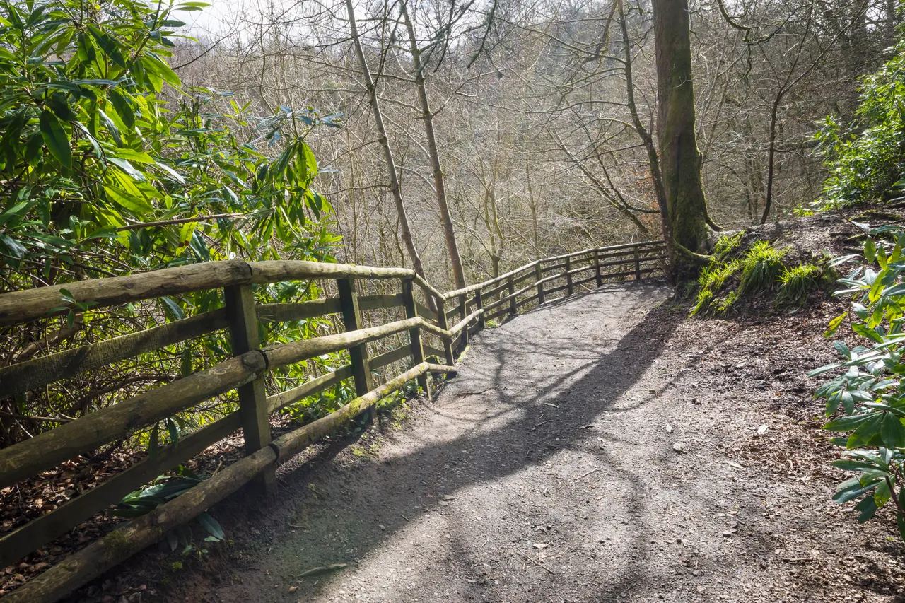 Calderglen Country Park