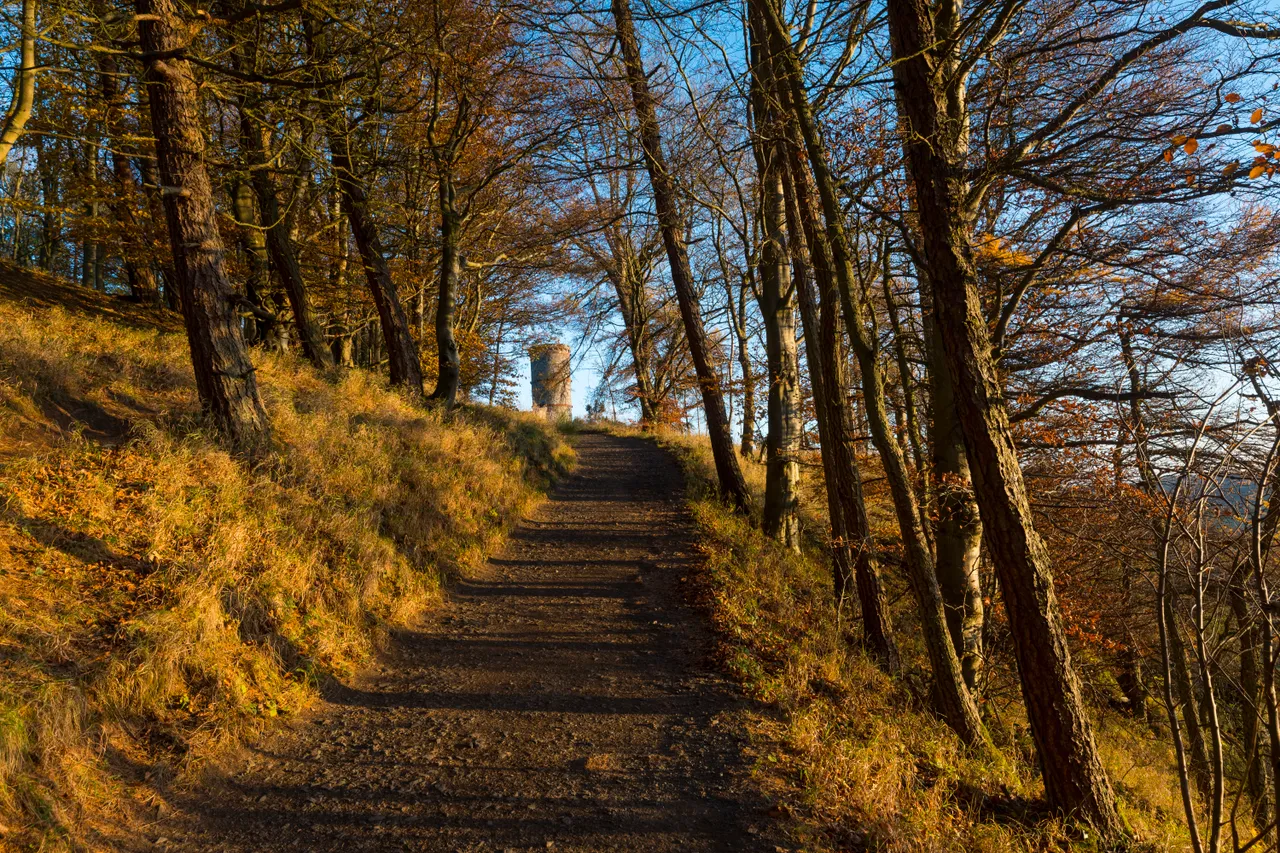 Kinnoull Hill Woodland Park