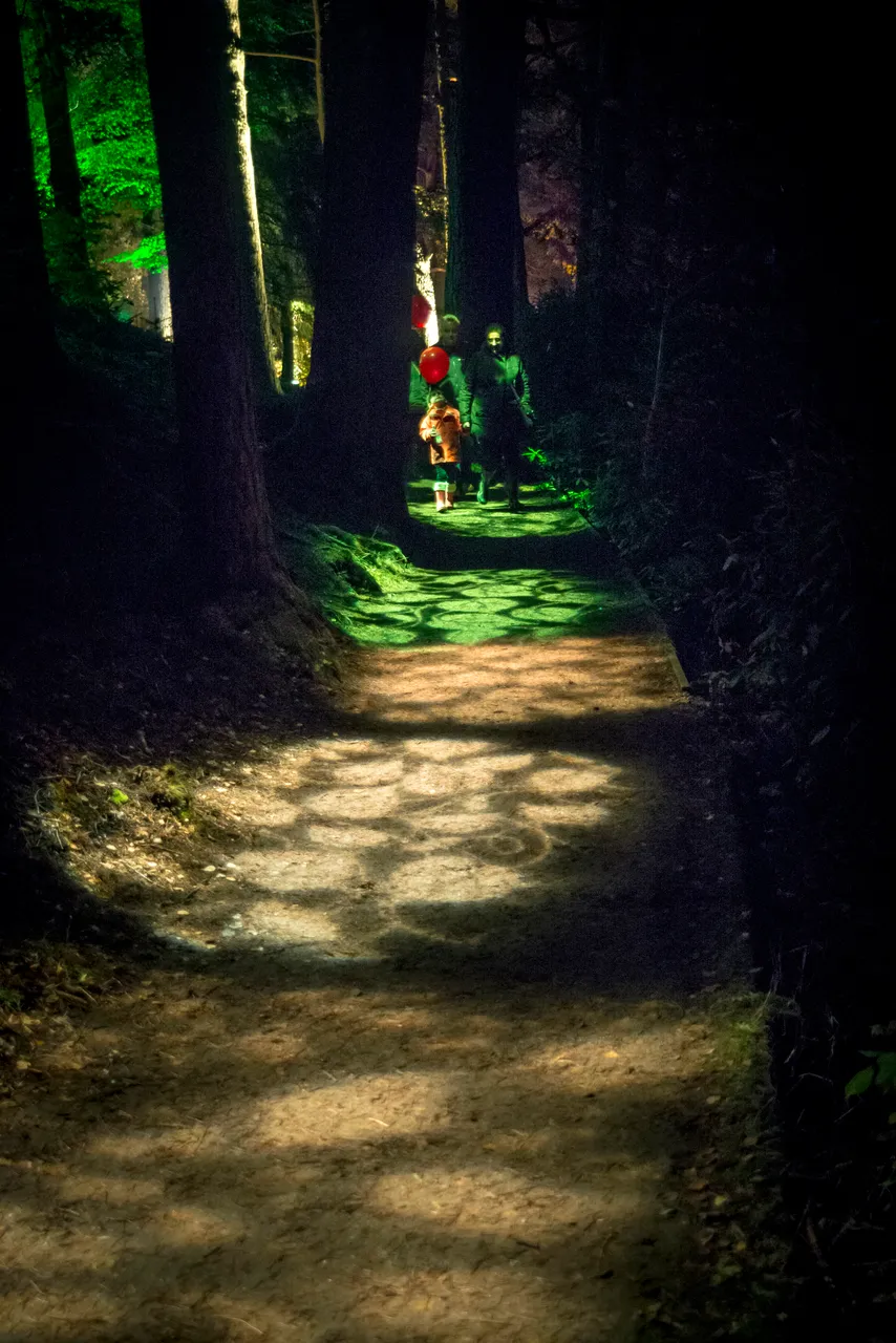 Enchanted Forest