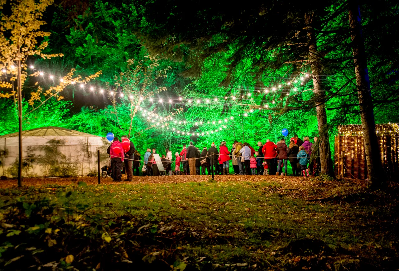 Enchanted Forest